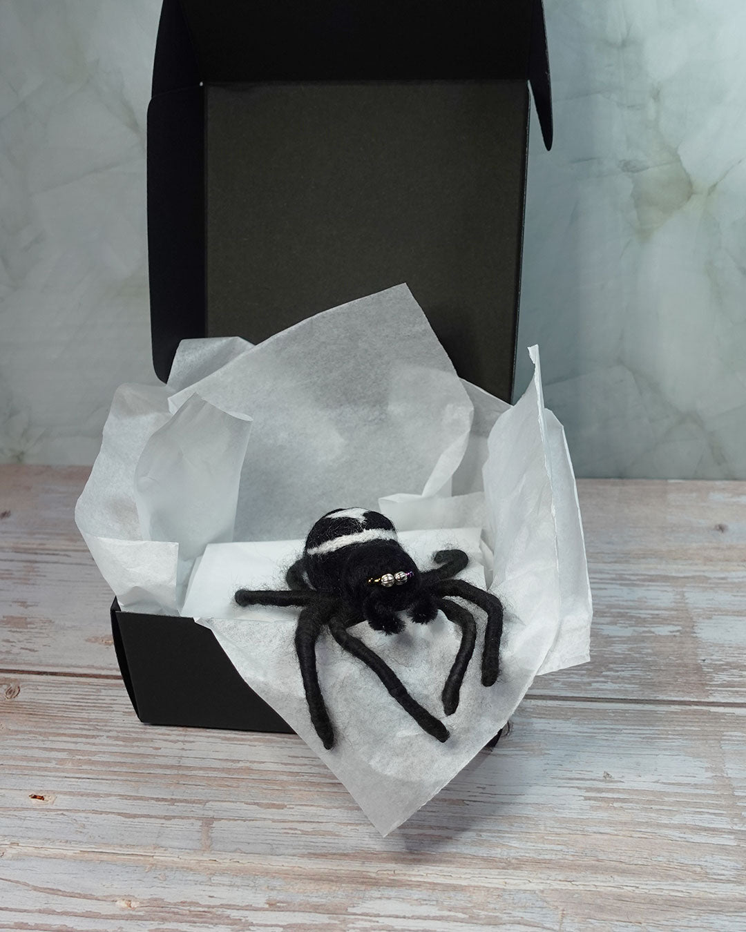 False Widow Spider No.1