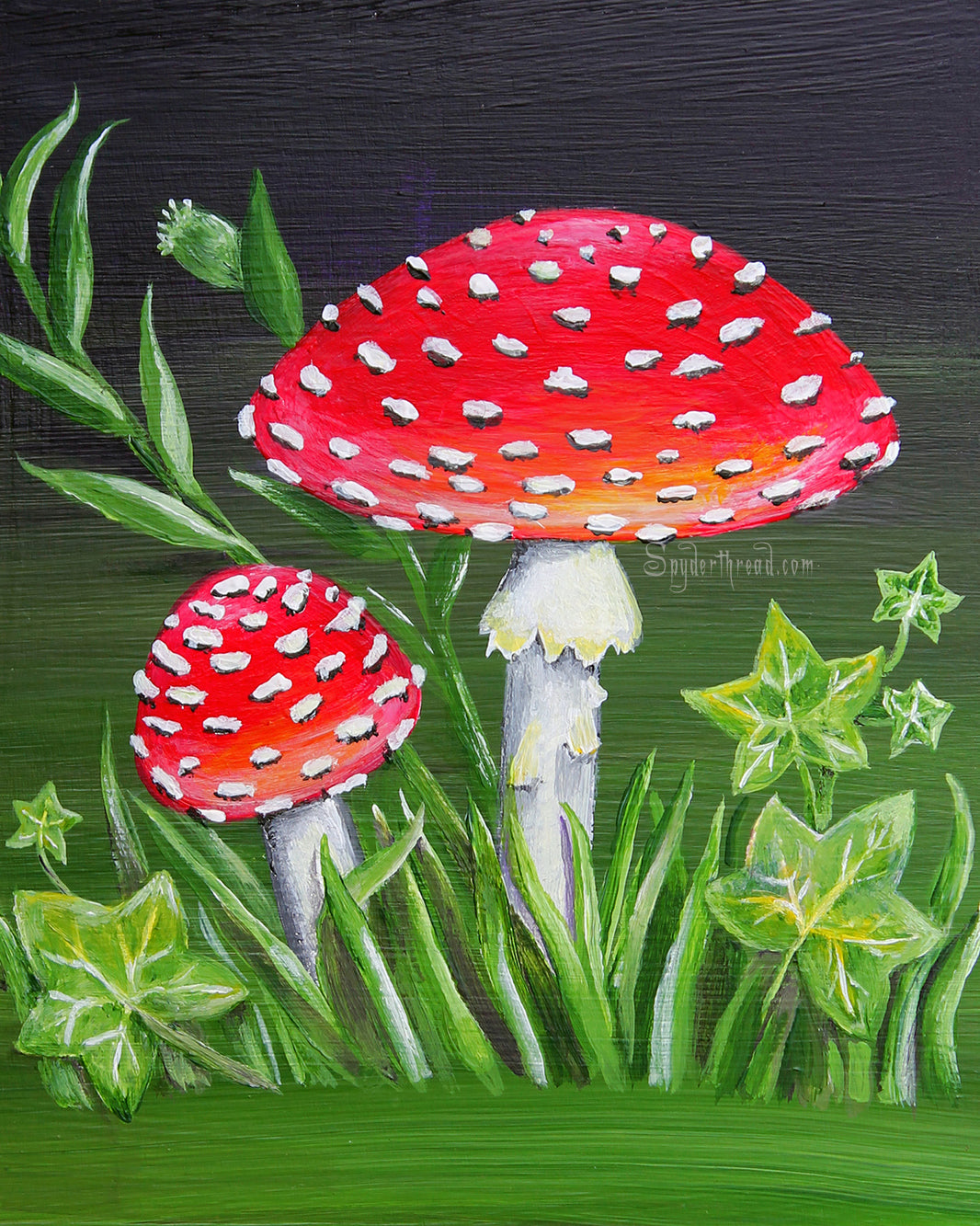 Fly Agaric Mushrooms