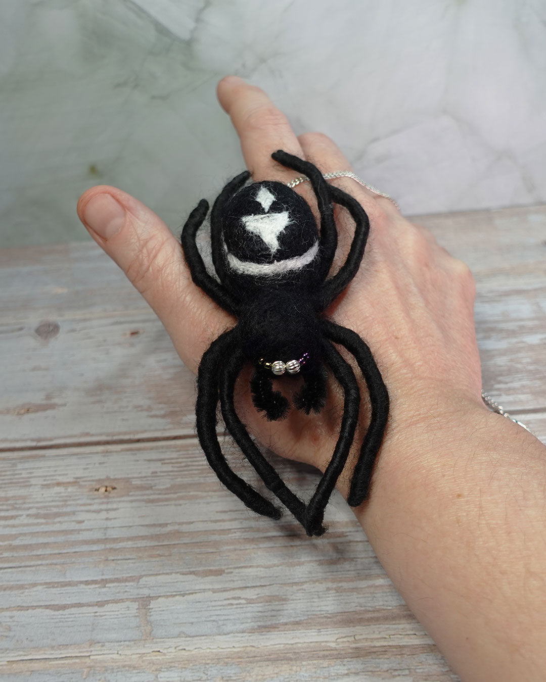 False Widow Spider No.1