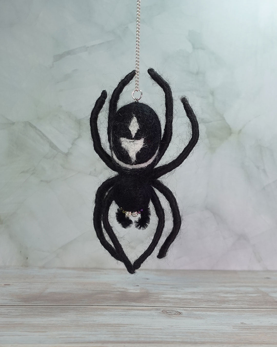 False Widow Spider No.1